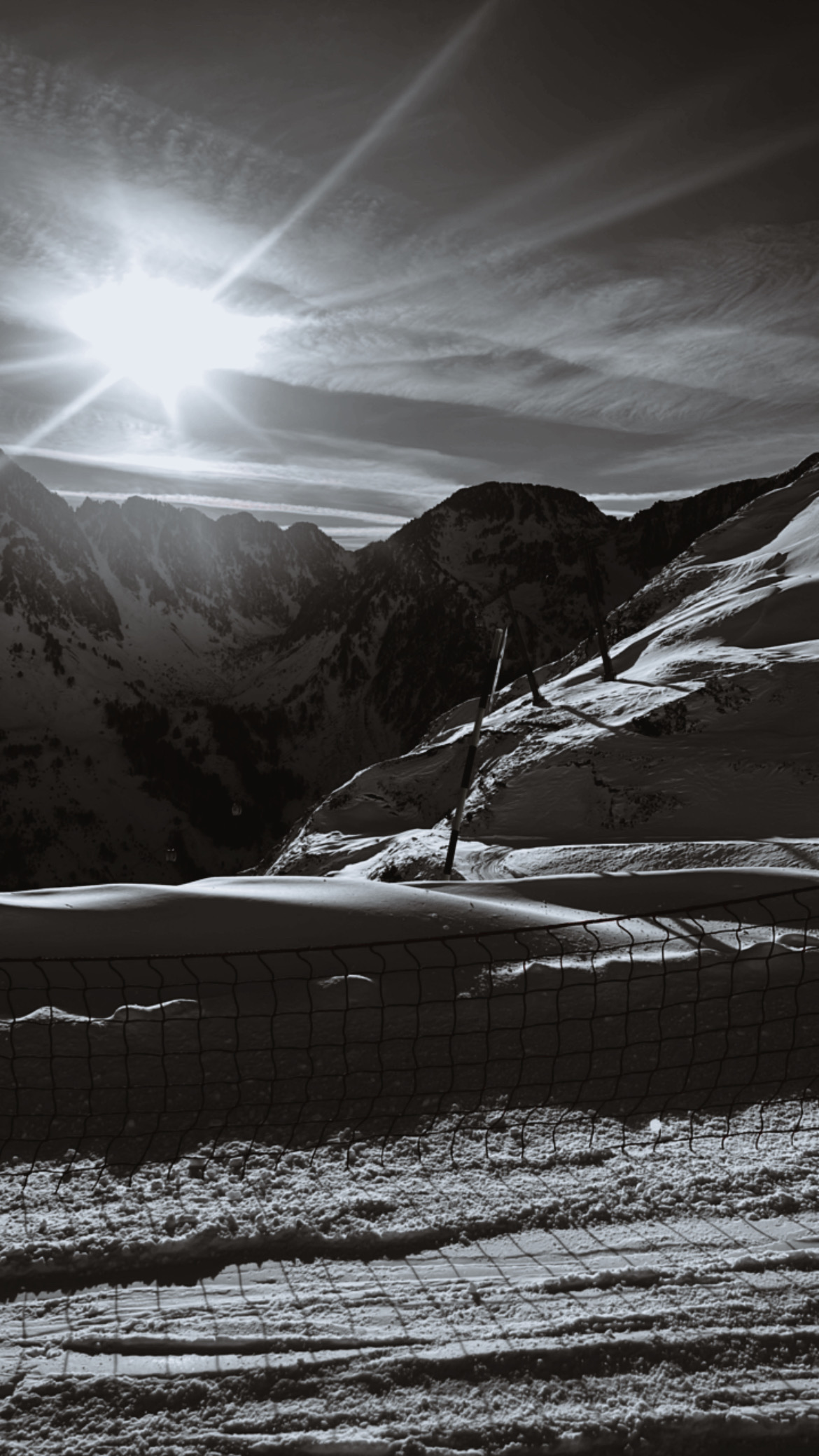 Cinderella P. avatar